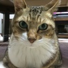 の写真