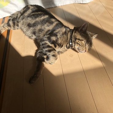 日向ぼっこ〜