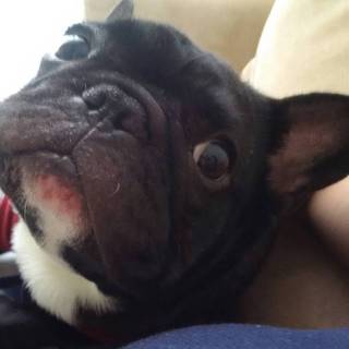 ありがとうございました