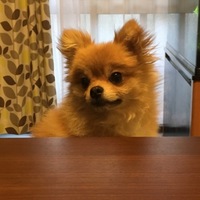 コジロー
