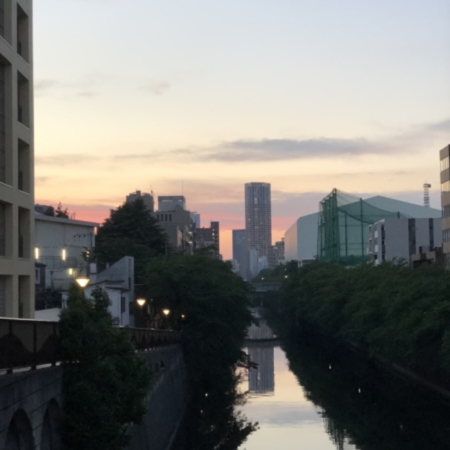 アリシアJのカバー写真