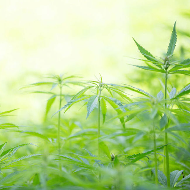 yumingのカバー写真