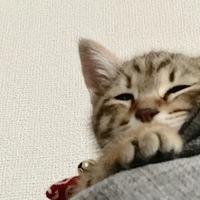 ゆず
