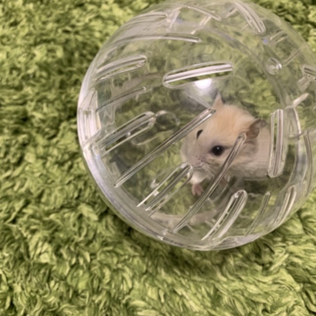 MT1221のカバー写真