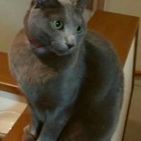 ふく