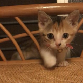 ひとりぼっちで寂しかったけど 今元気だよ～