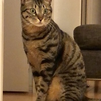 ユウ