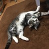 の写真