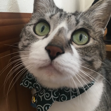 の写真