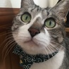 の写真