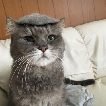 ララの写真