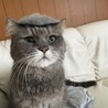 の写真