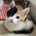 食べて遊んで寝て❗️あんずちゃん❣️