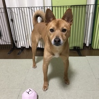 にこ