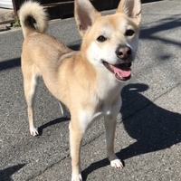 さん