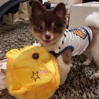 小次郎