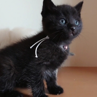 おっとり甘えん坊