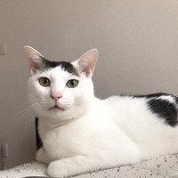 マルコ
