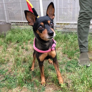 スタイルよし！お顔よし！美魔女のレイちゃんです♪