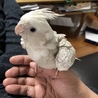 けん&