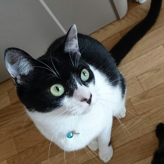 パワフルなテナー坊❤