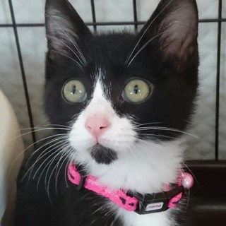 元気いっぱいベタベタなマルセル君❤