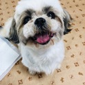 おっとり穏やか☆みかんちゃん