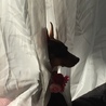 お気に入りの場所