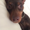 眠そう……