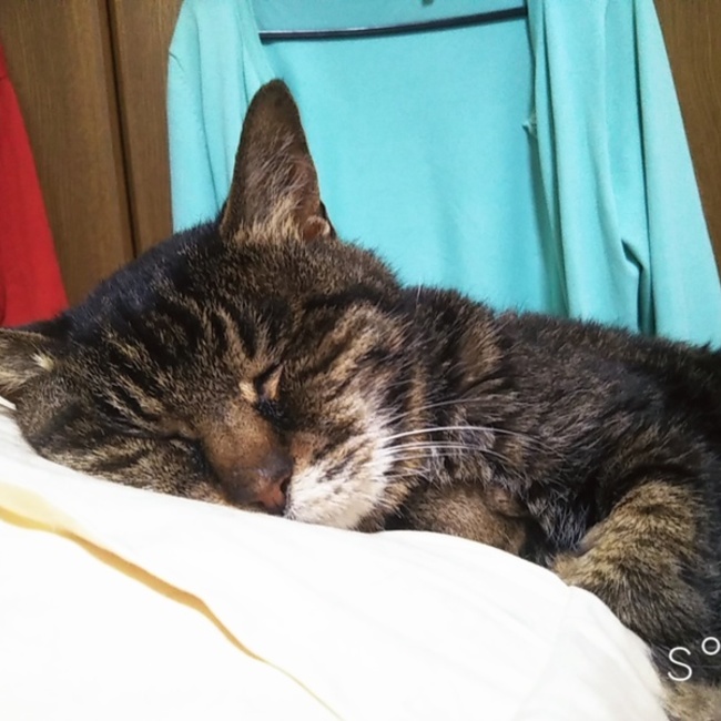 あさぽむのカバー写真