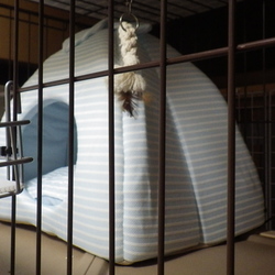 「夏用の寝床に交換」サムネイル2