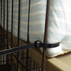 「夏用の寝床に交換」サムネイル3