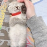 初めて出会った日、慣れるの早くてびっくりした