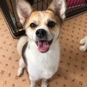 甘え上手なKiKiちゃんです！