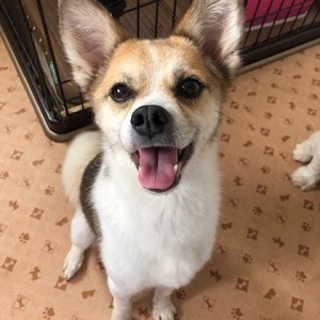 甘え上手なKiKiちゃんです！