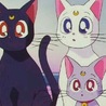 ひなこ819