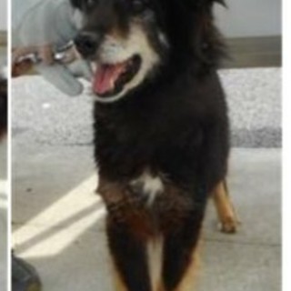 なつっこいこ。僕のお迎えがこないよ急遽キャンセル