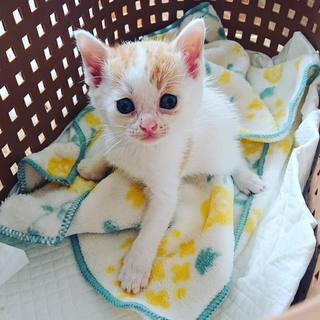 令和生まれのはじめくん（仮名）