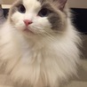の写真