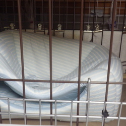 余計なお世話 ?