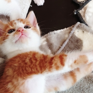 令和生まれのいち君