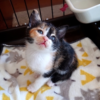 令和生まれのひとちゃん