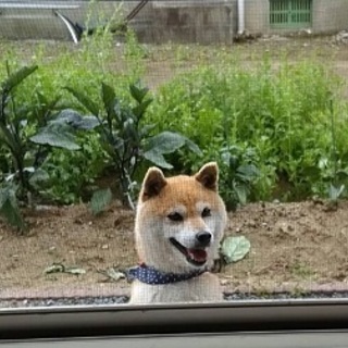 希望者がおります。一旦停止いたします。