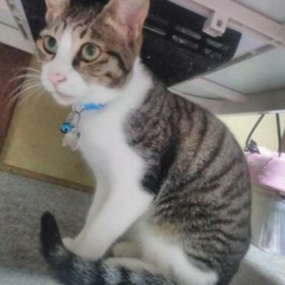 甘えん坊男子ウィンくんがあなたを待っています♪