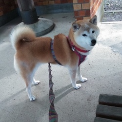☀☀梅雨の晴れ間に☀☀