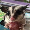 yawara loves grape too much