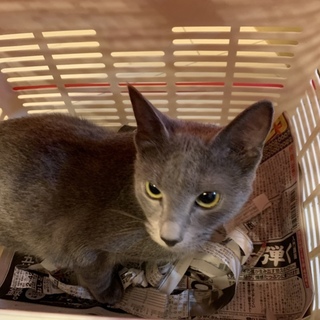 Aki。 さんお迎え。