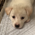 カンチ kun ⭐︎ １ヶ月半