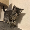 埼玉警察署より来ました！