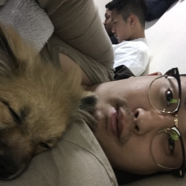 ゴッドドッグのカバー写真